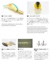 グラスルーツ　レッドカブ
