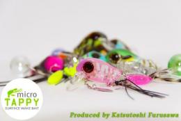 <!--{$arrProduct.name|h}-->