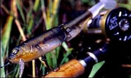 <!--{$arrProduct.name|h}-->