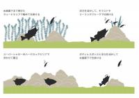 オーバスライブ　Evo tuned (エヴォチューンド)