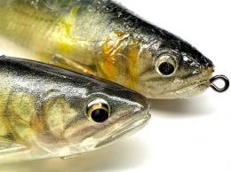 <!--{$arrProduct.name|h}-->