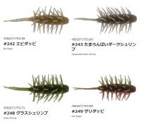 ハイドアップ　コイケシュリンプ・ミディアム