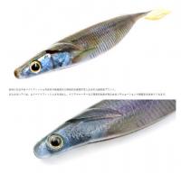 deps　サカマタシャッド・リアル<5”><6”><7”><8”>