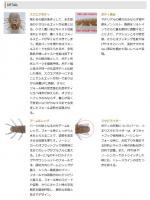 O.S.P　HPバグ 1.5inch.　【Feco認定】