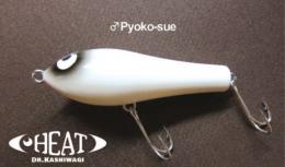 <!--{$arrProduct.name|h}-->