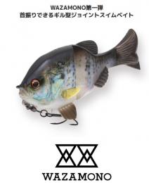 <!--{$arrProduct.name|h}-->