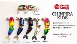 <!--{$arrProduct.name|h}-->