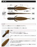 エバーグリーン　FACT C-4リーチ　【Feco認定】